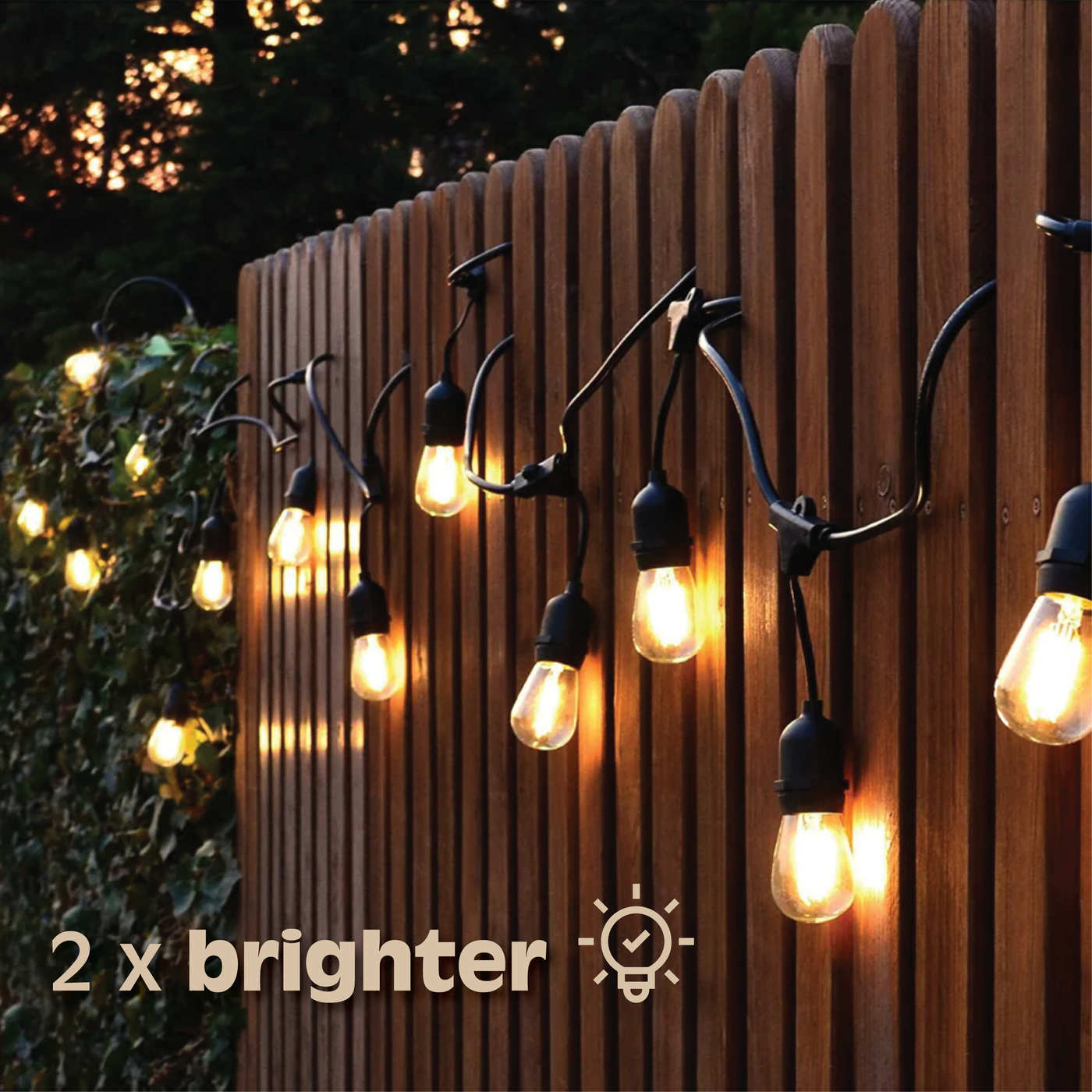 Renew Home Essentials™ Solar Festoon Lights
