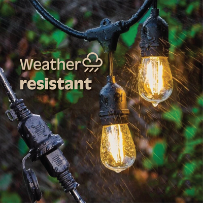 Renew Home Essentials™ Solar Festoon Lights
